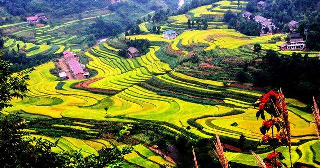 宁强gdp_宁强麻辣鸡(2)